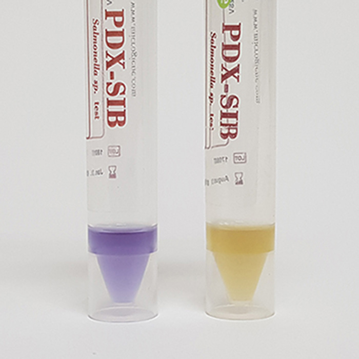 표면 식중독균 검사키트 PDX-Salmonella(살모넬라) (00853)